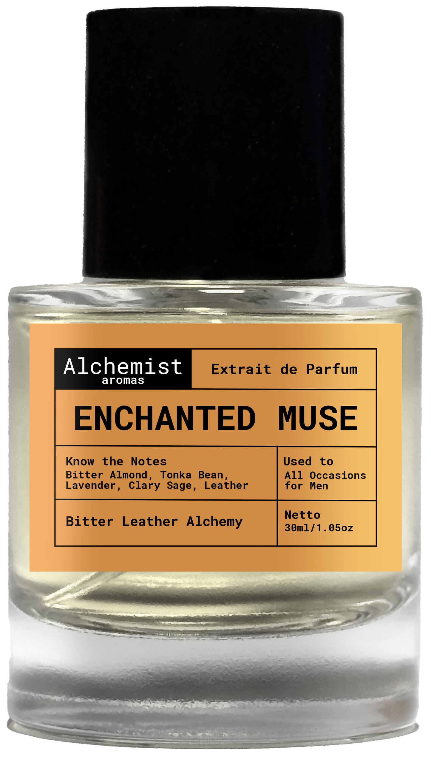 Enchanted Muse