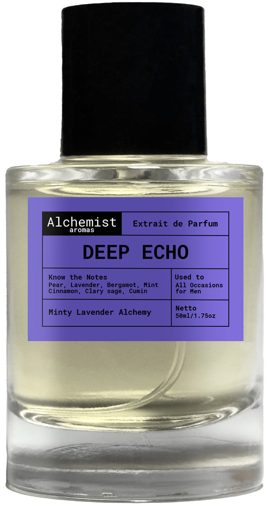 Deep Echo
